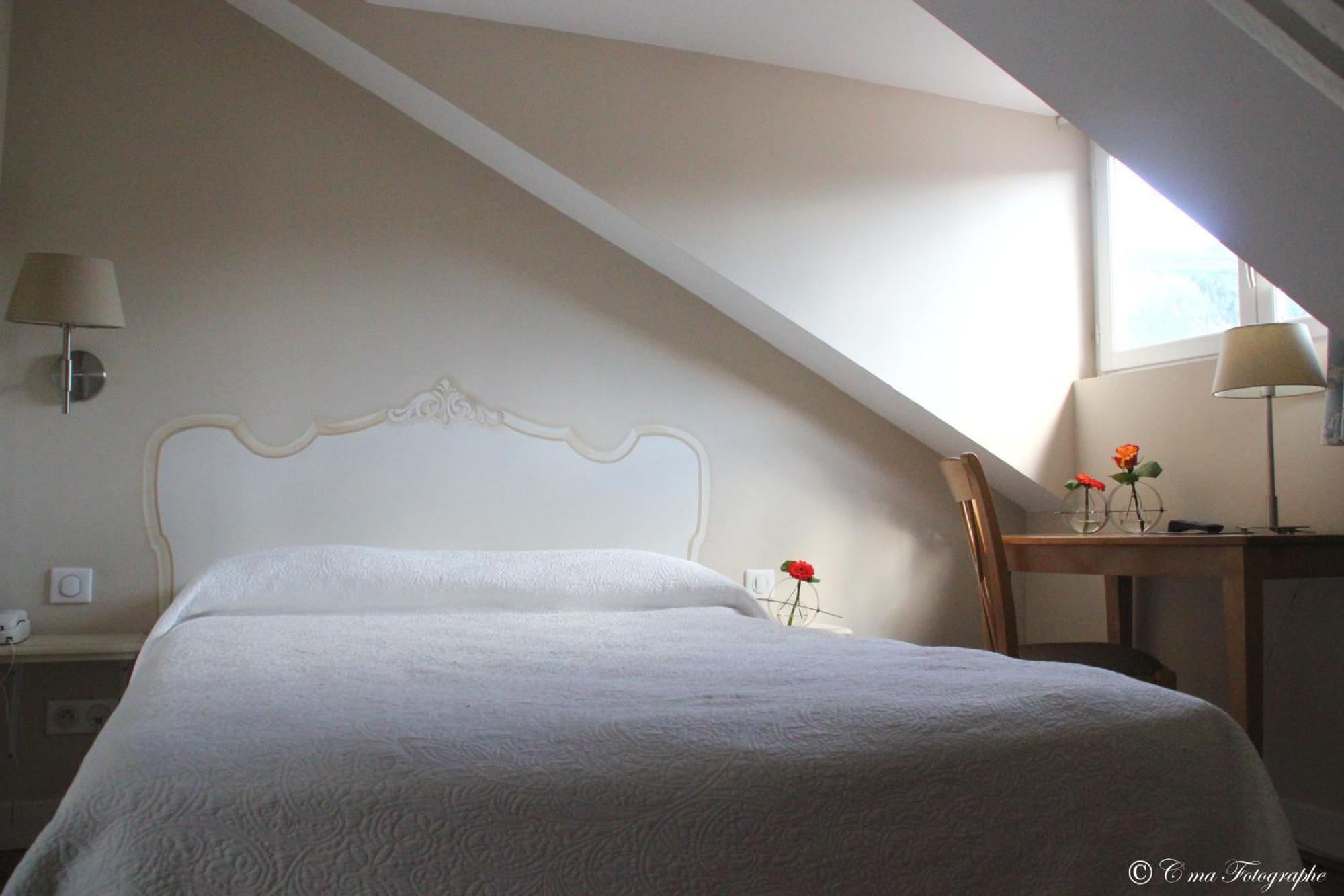 Single Room,1208448199:JPEG