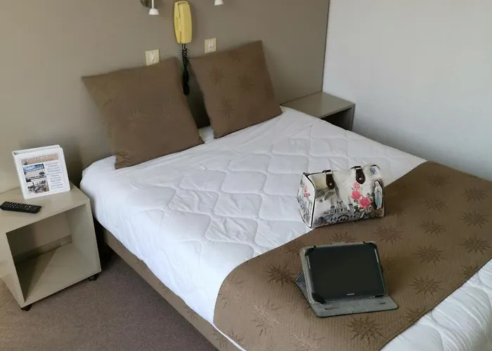 Hotel Adonis Lourdes - Notre Dame De La Sarte